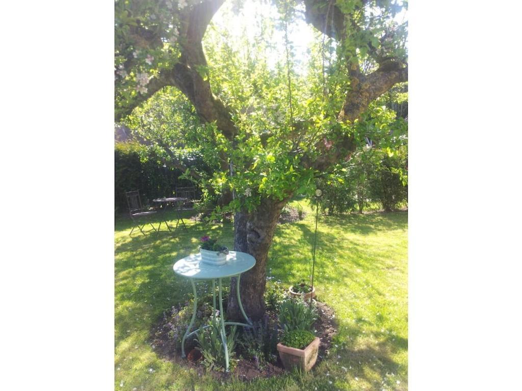 The Little Holiday House Stolpe  Екстер'єр фото