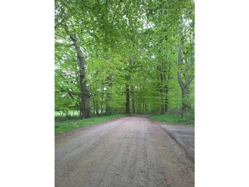 The Little Holiday House Stolpe  Екстер'єр фото
